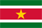 Surinam flag